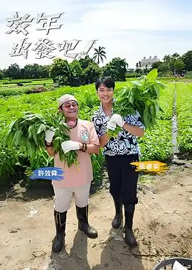 乡间音乐会